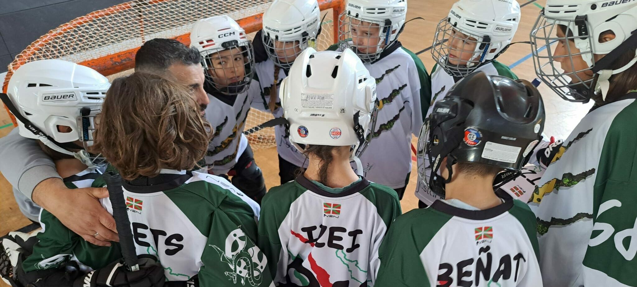 chldragons-alevin